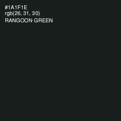 #1A1F1E - Rangoon Green Color Image
